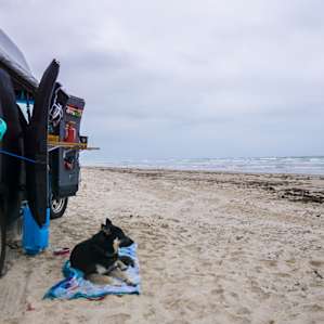 Beach life right next to the water!