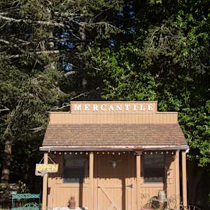 You can buy fresh meat and goose eggs at the mercantile to cook during your visit!