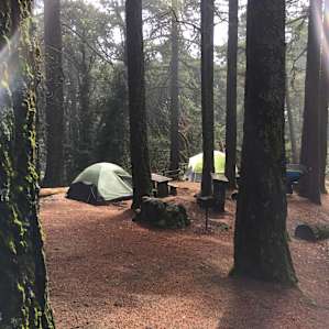 Campsites 10 & 11