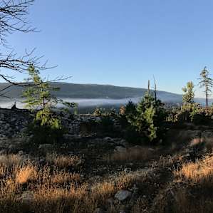 Blue Mountain Private Campsite