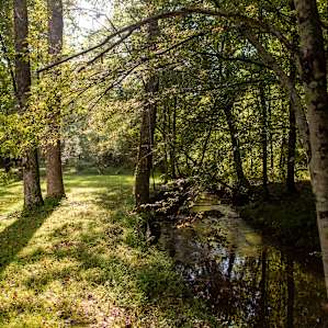 You can enjoy a splash around in the creek that runs by the campsite.