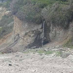 Beachside State Recreation Site Campground