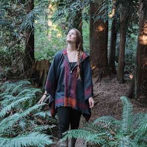 Taking a stroll through the forest.