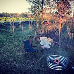 Prairie Woods Farm Vineyard Camp