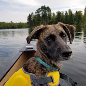 Canoe rental from the state park office, dog friendly.