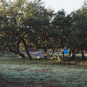 tent hammock lodging