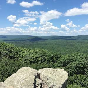 The view from Pole Steeple in the summer...