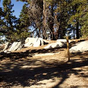 Lotus campsite