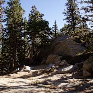 Lotus campsite
