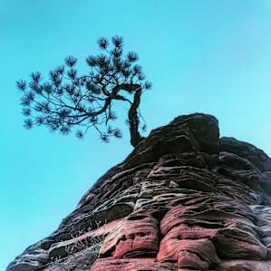 Always look up when exploring Zion