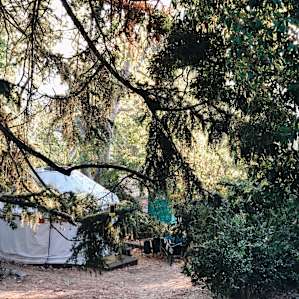 The yurt that is high up on the hill - you get some great views from here.