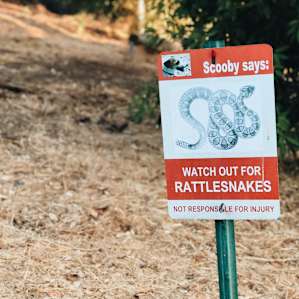 Although we didn't run into any, there are rattlesnake signs are everywhere.