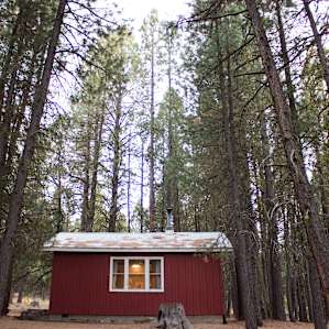 Squirrelville Cabin