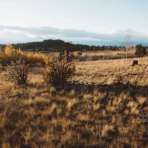 desert