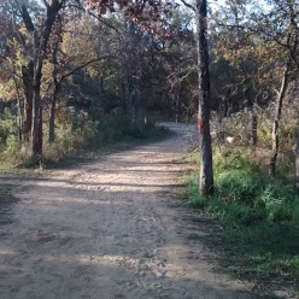 The path to camp.