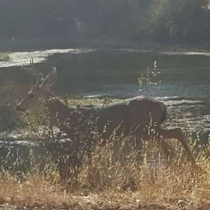 Santa Margarita Lake Recreation Area
