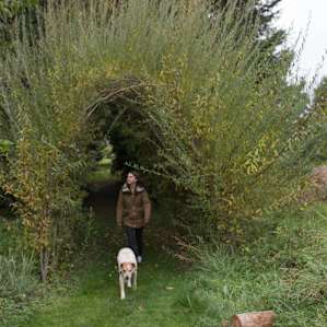The coolest little walkway.