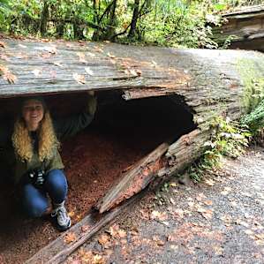 Hoh Campground