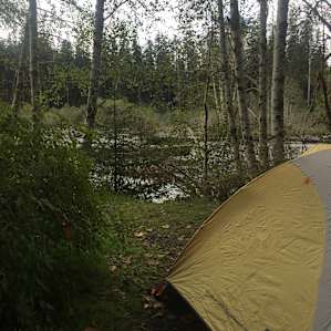 Hoh Campground