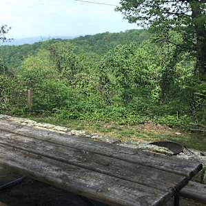 Each cabin has a back porch area like this with some nice views and plenty of room to hang out!