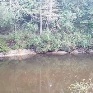 Another shot of the creek.