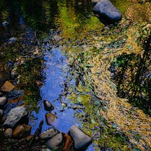 water