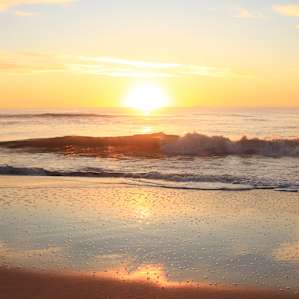 Assateague Campground