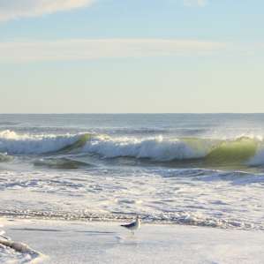 Assateague Campground