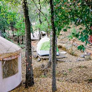 Next to the yurts are wooden platforms you can set your tent up.