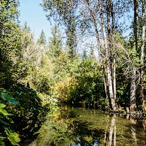 Enjoy the beautiful creek that runs through the property!
