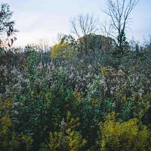 I am so in love with the amount of colors in the brush, its such a beautiful wildlife refuge!