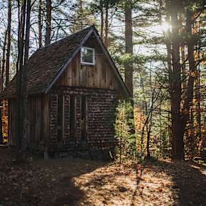 cabin forest lodging