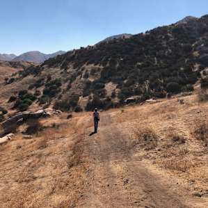Unhitched Ranch