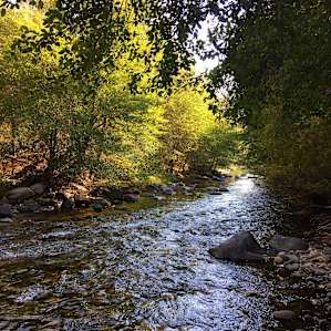 Lower Peppermint Campground