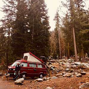 van