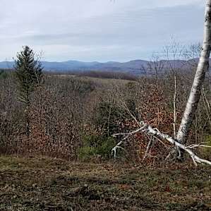 another view