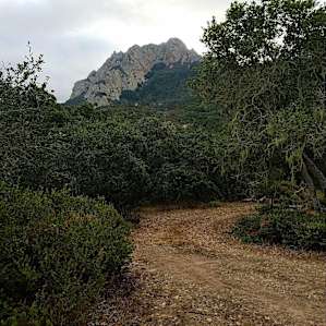 WagMore (site #1--Valley View)