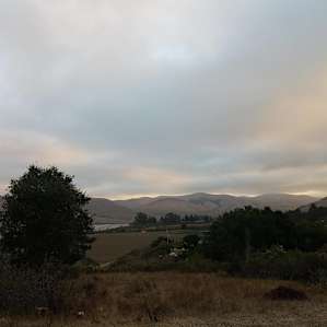 Was a foggy morning