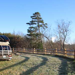 Bright morning sunshine to warm us up after a frosty night.
