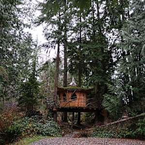 Do fairies live here?!