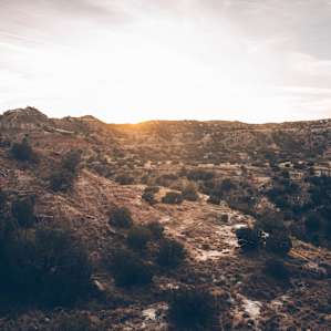 Sunset in the Canyon