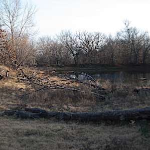 The sun sets on a still lake amidst an untamed field