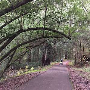 Cross Marin trail (connected to the campground)