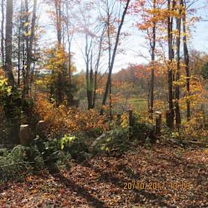 Magical Woods for Rustic Tent Camp