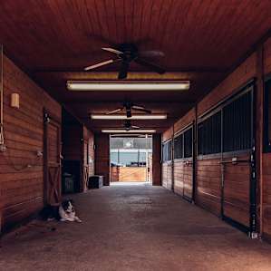 In the barn was a restroom and kitchen we could use.