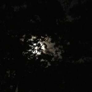 Full moon views at night.