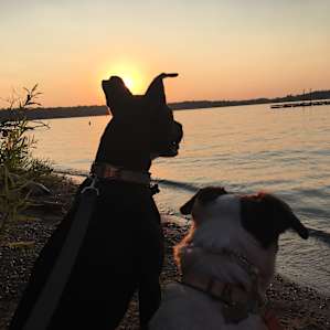 Caesar Creek Campground