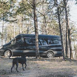 Van Life