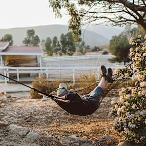 hammock activity