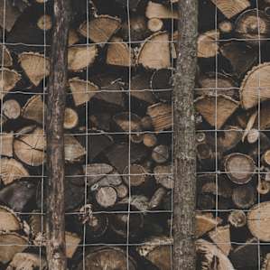 Firewood for sale